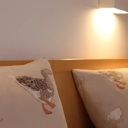 H.w.s. Der Wilde Schwan