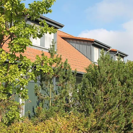 H.w.s. Der Wilde Schwan