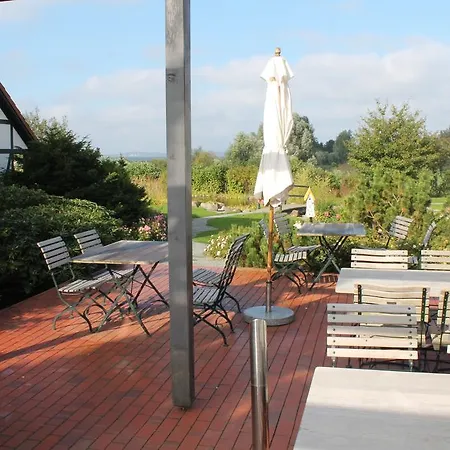 H.w.s. Der Wilde Schwan