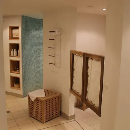 Отель H.w.s. Der Wilde Schwan