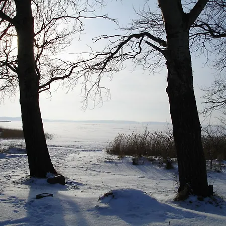 Hotel H.w.s. Der Wilde Schwan