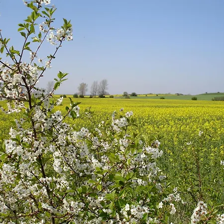 H.w.s. Der Wilde Schwan Загард