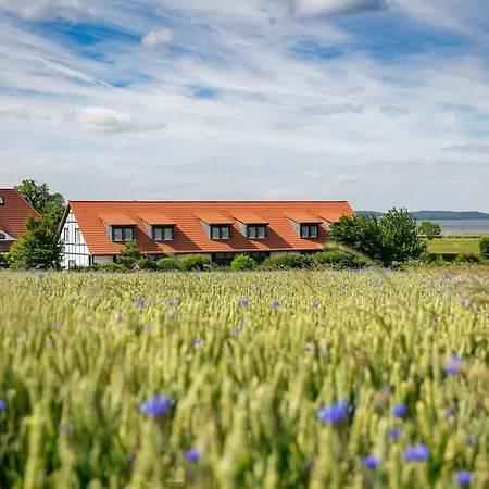 H.w.s. Der Wilde Schwan Sagard