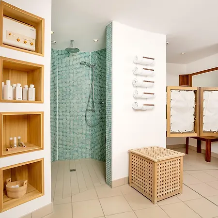 H.w.s. Der Wilde Schwan