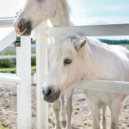 H.w.s. Der Wilde Schwan 3*