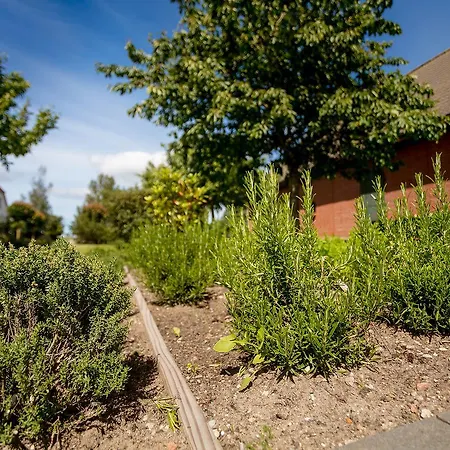 H.w.s. Der Wilde Schwan Hotel Sagard