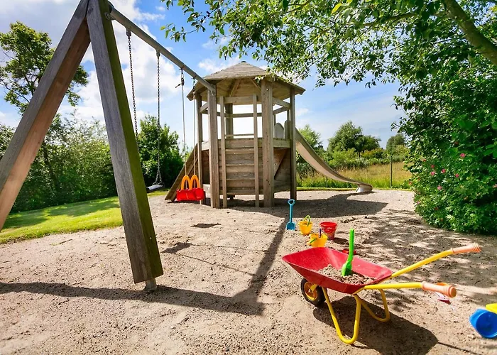 H.w.s. Der Wilde Schwan