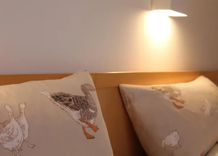 H.w.s. Der Wilde Schwan