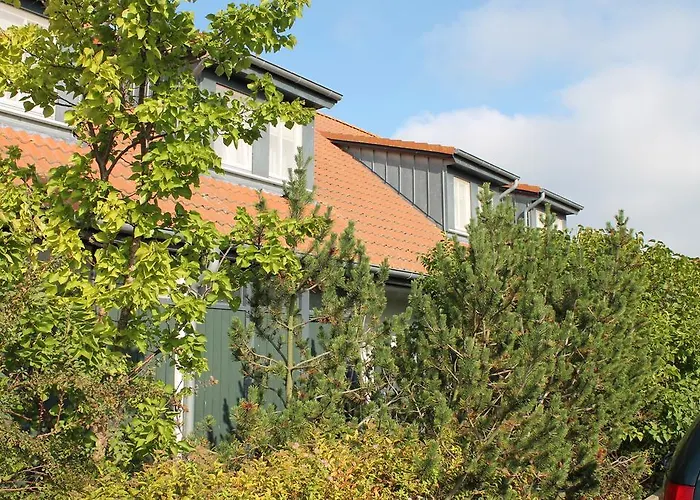 H.w.s. Der Wilde Schwan