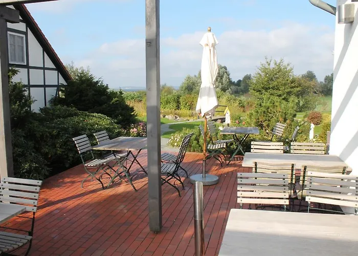 H.w.s. Der Wilde Schwan