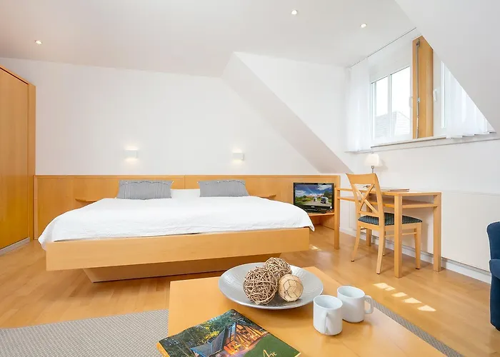 H.w.s. Der Wilde Schwan Hotell 3*